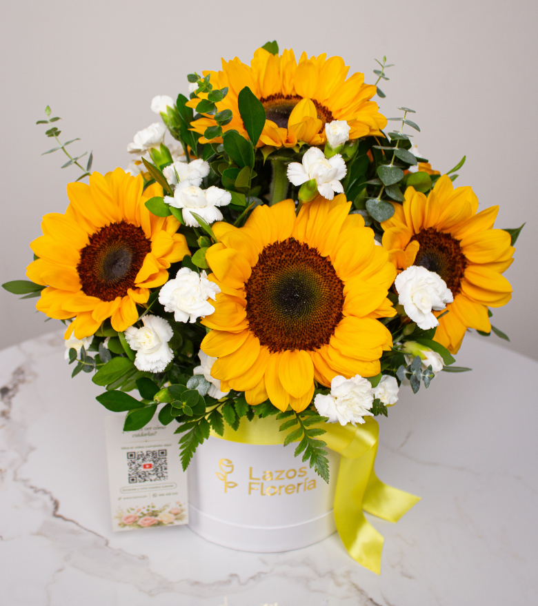 Sol de Primavera