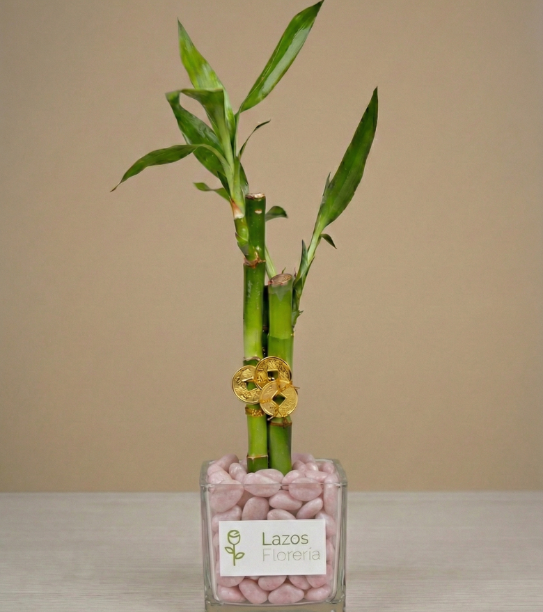 Bambú Esencia de Paz