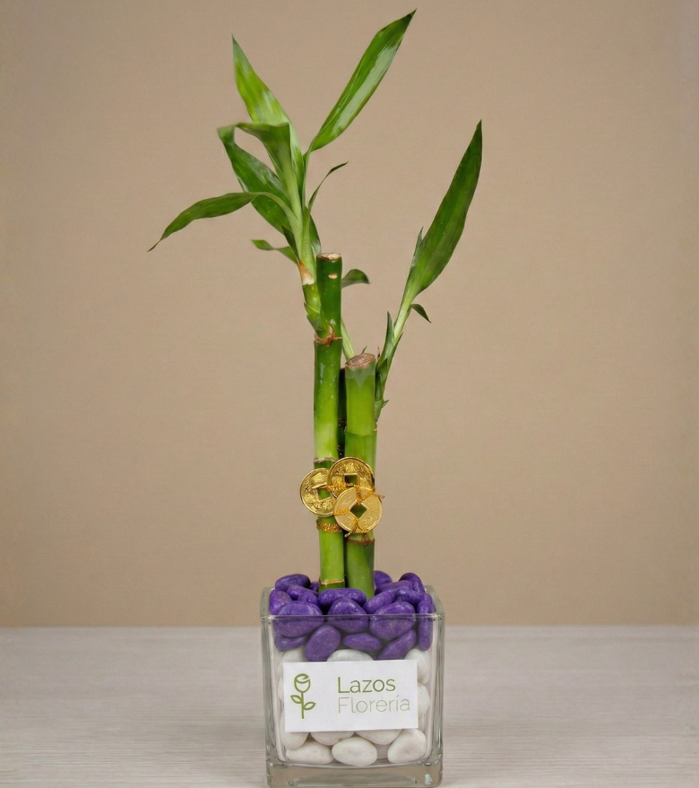 Bambú Fresco Amanecer