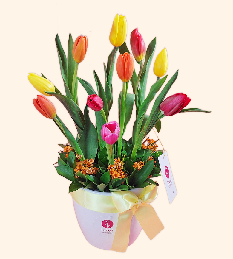 Jarrón 10 Tulipanes
