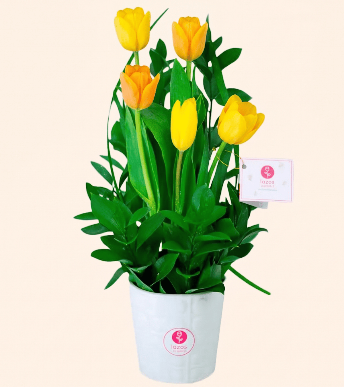 Maceta de cerámica blanca con 5 tulipanes naturales amarillos y naranjas para regalo de oficina en Lima de Florería Lazos.