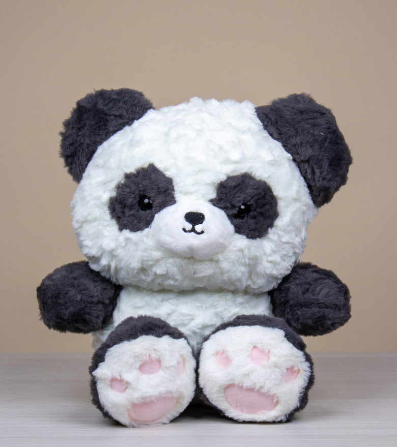 Compañero de Sueños