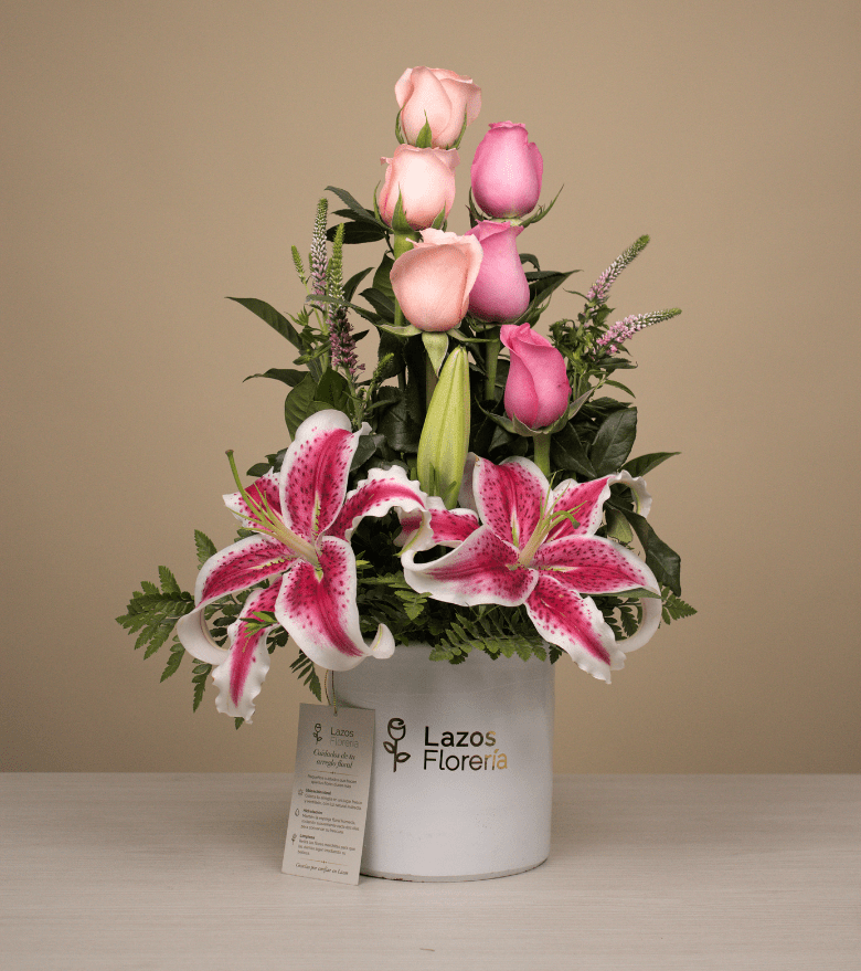 Ternura Floral