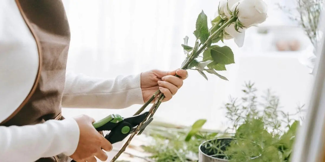 Cuidado de las Flores: Consejos para Mantenerlas Frescas - Lazos.pe