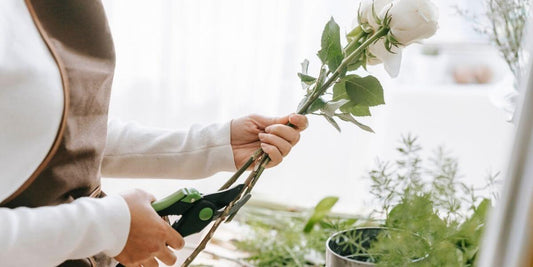 Cuidado de las Flores: Consejos para Mantenerlas Frescas