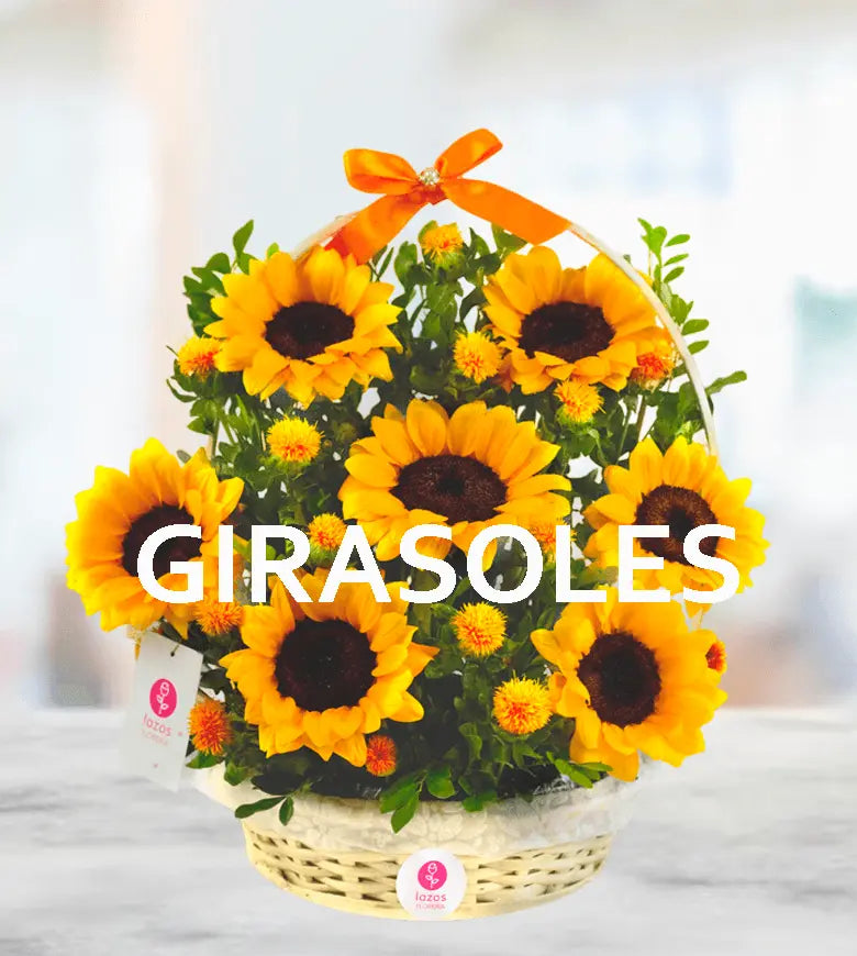 Categoría-Girasoles Lazos.pe