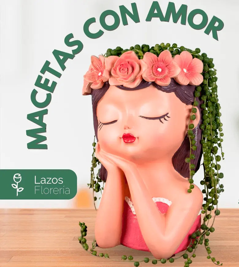 Categoría-Plantas Lazos.pe