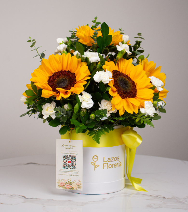 Sol de Primavera