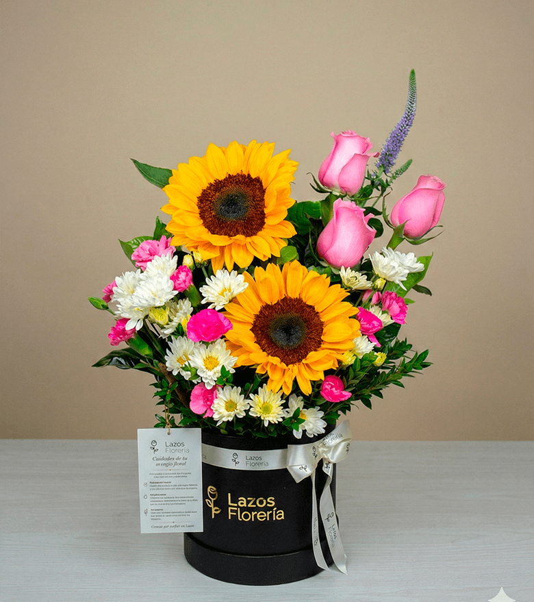 Pétalos de Encanto_SAN VALENTÍN