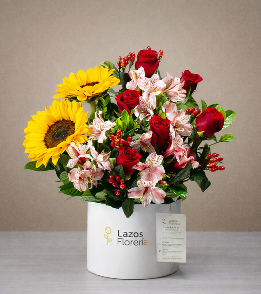 Cálido Corazón_SAN VALENTÍN