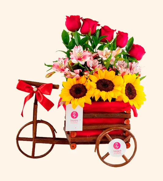 Arreglo Bicicleta_SAN VALENTÍN LAZOS FLORERIA