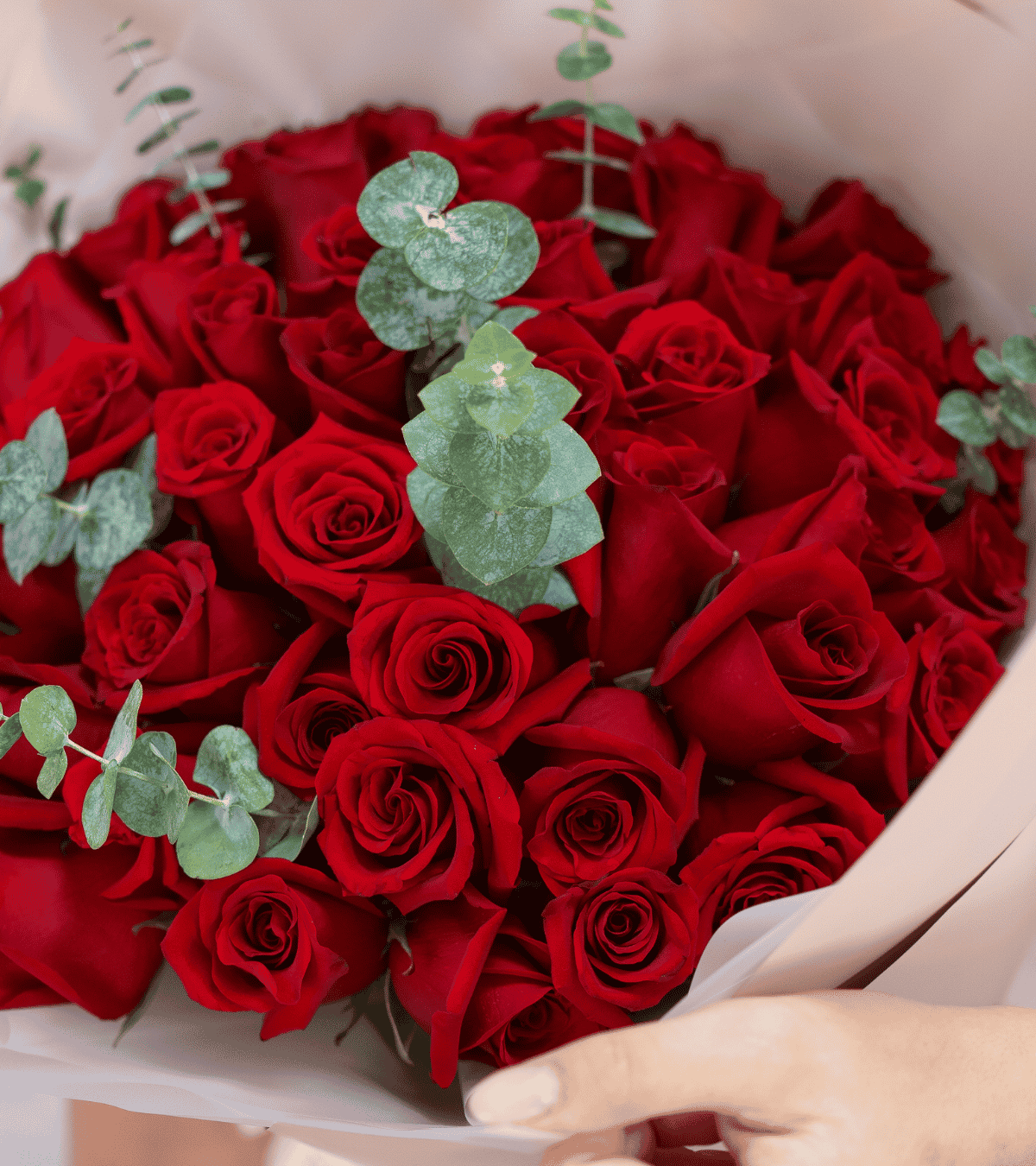Ramo gigante de 50 rosas rojas con eucalipto para regalo de aniversario en Lima de Florería Lazos.
