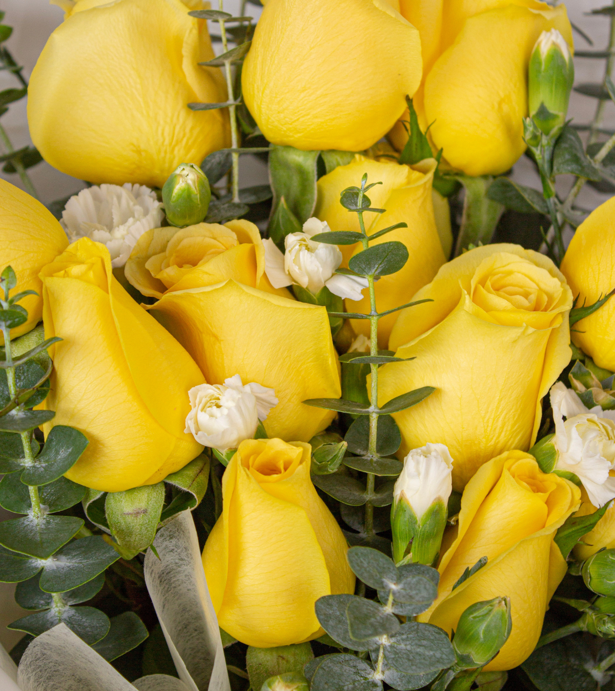 Ramo de 12 rosas amarillas con eucalipto en envoltura blanca y lazo amarillo para regalo de cumpleaños en Lima de Florería Lazos.