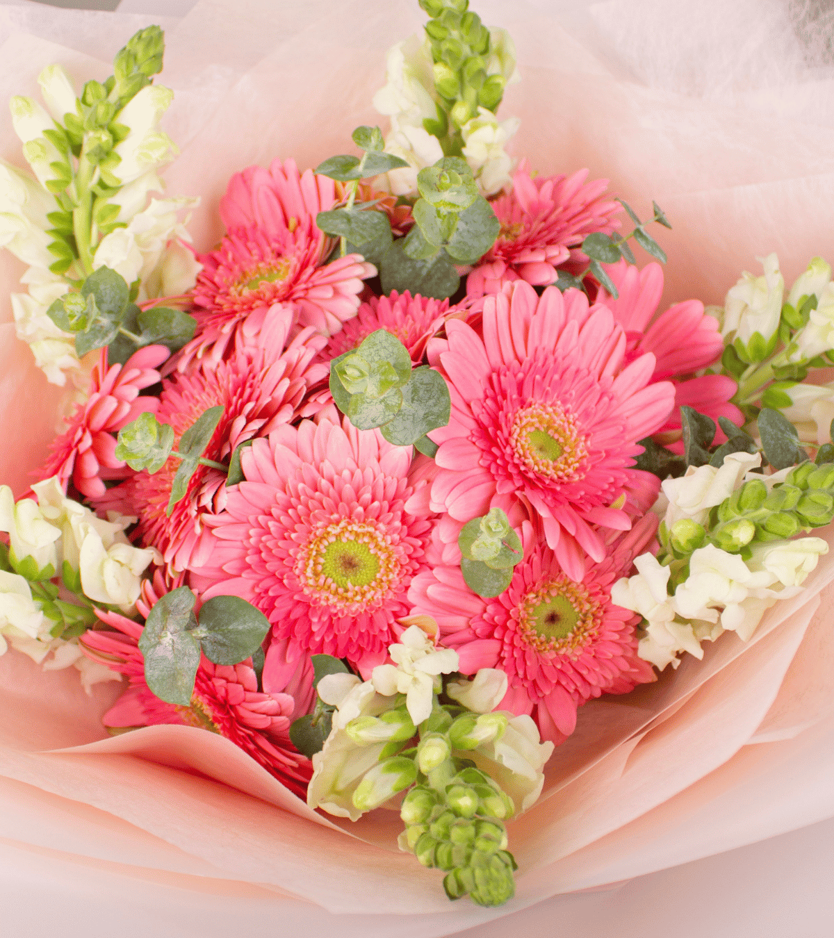 Ramo de gerberas rosadas con espigas blancas para regalo de cumpleaños en Lima de Florería Lazos.