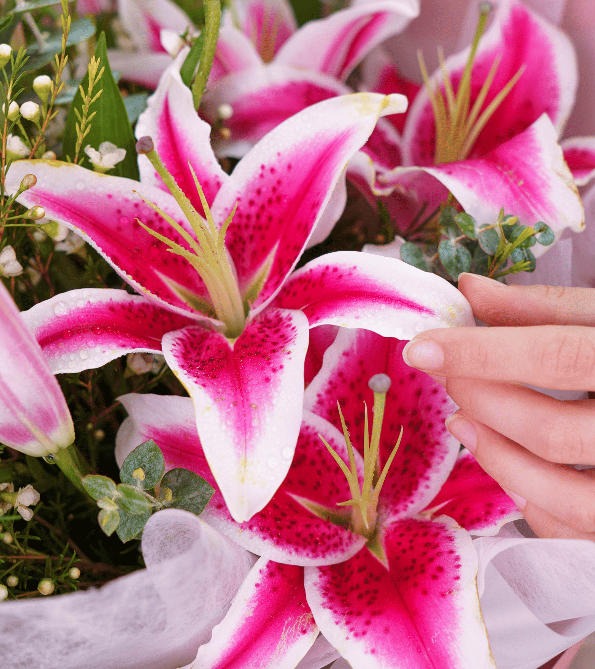 Ramo de lirios fucsias y rosados con capullos naturales para regalo de cumpleaños en Lima de Florería Lazos.
