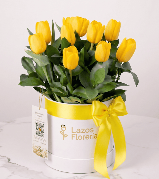 Resplandor Dorado 10 Tulipanes Amarillos