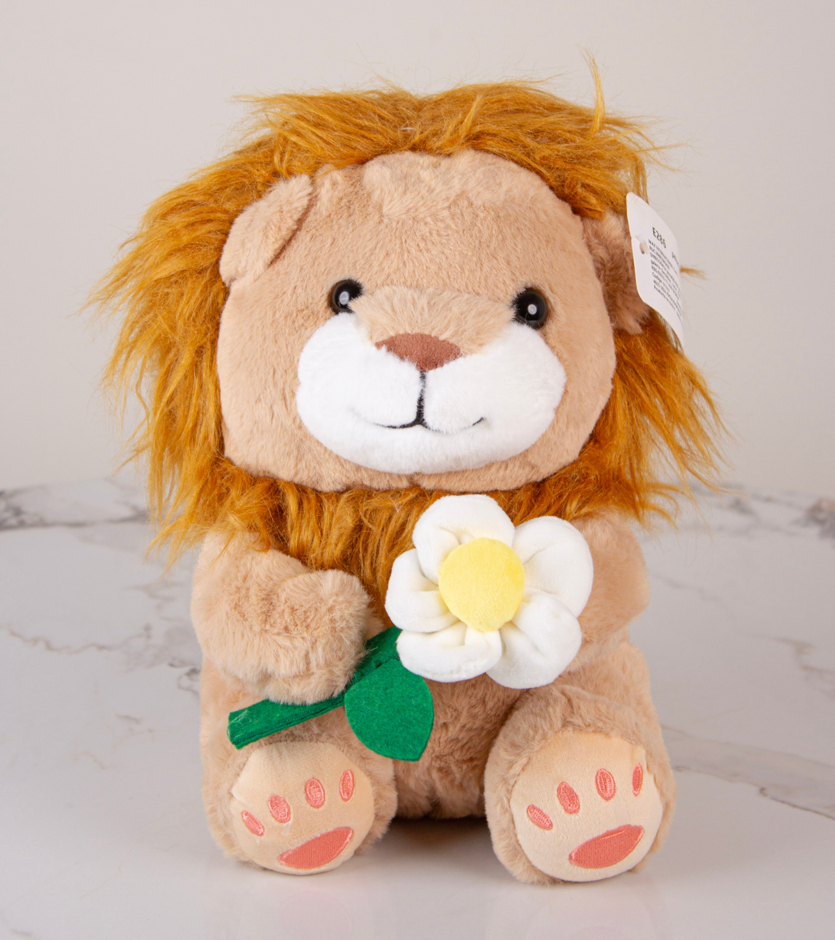 Leoncito Rey de la Primavera