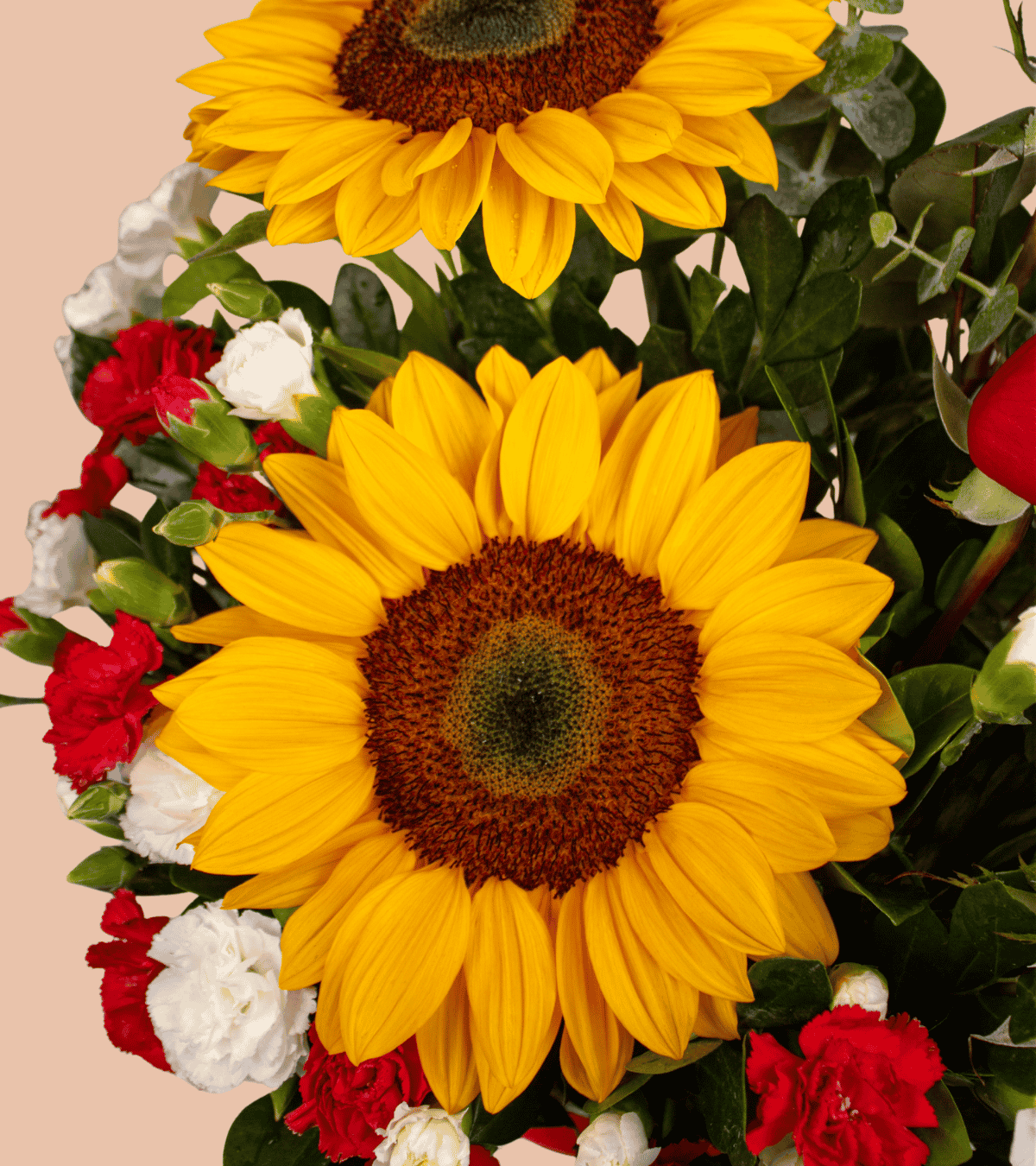 Armonía Floral